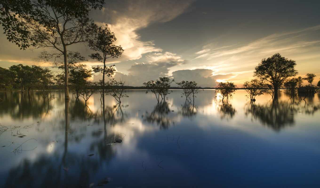 lake, tree, water, reflection