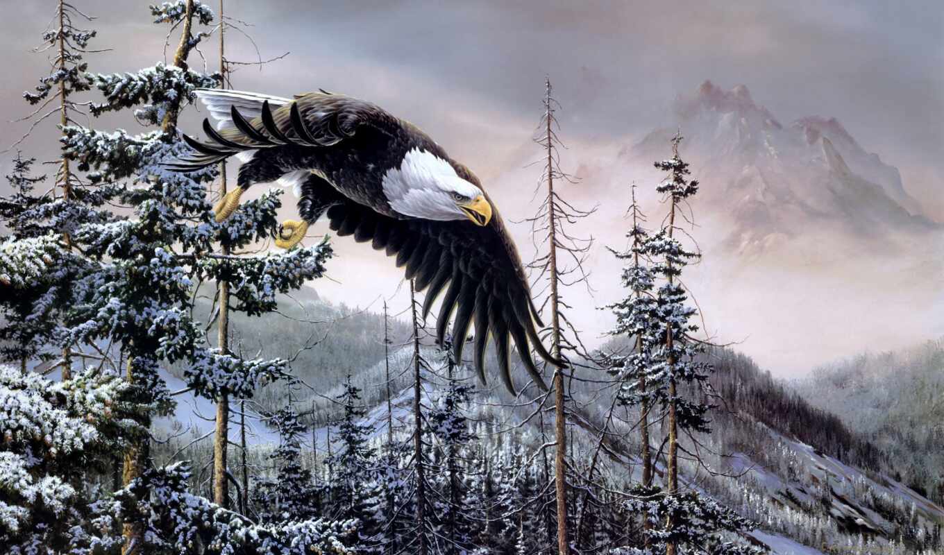 art, paint, snow, winter, mountain, bird, orlan, fir, Walden, fore