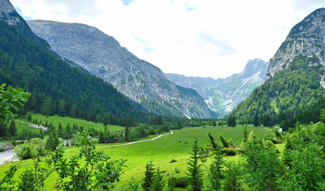 природа, картинка, высокого, трава, красивые, landscape, природы, am, austrian, горы, tyrol