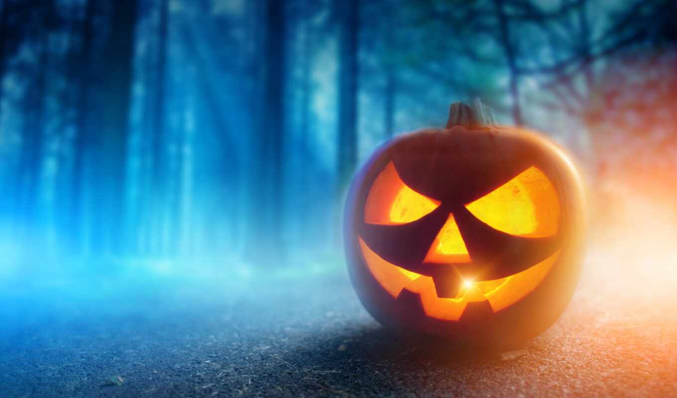 night, autumn, halloween, pumpkin, pumpkins