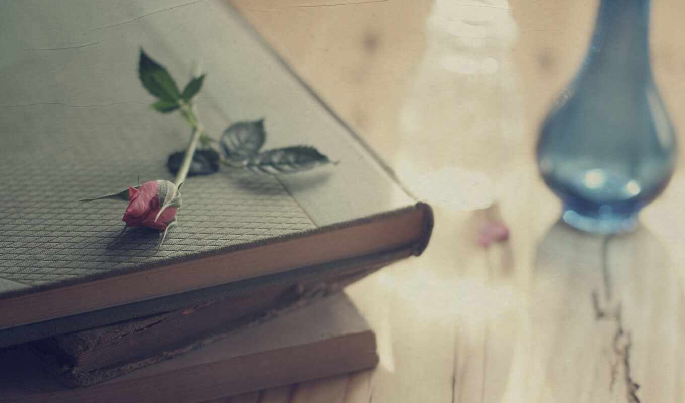 love, книга, комментарий, ваза, drawing