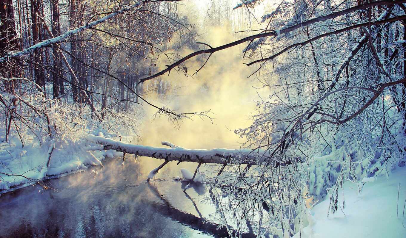 озеро, картинка, sun, дерево, снег, winter, утро, красивый, steam, hiver