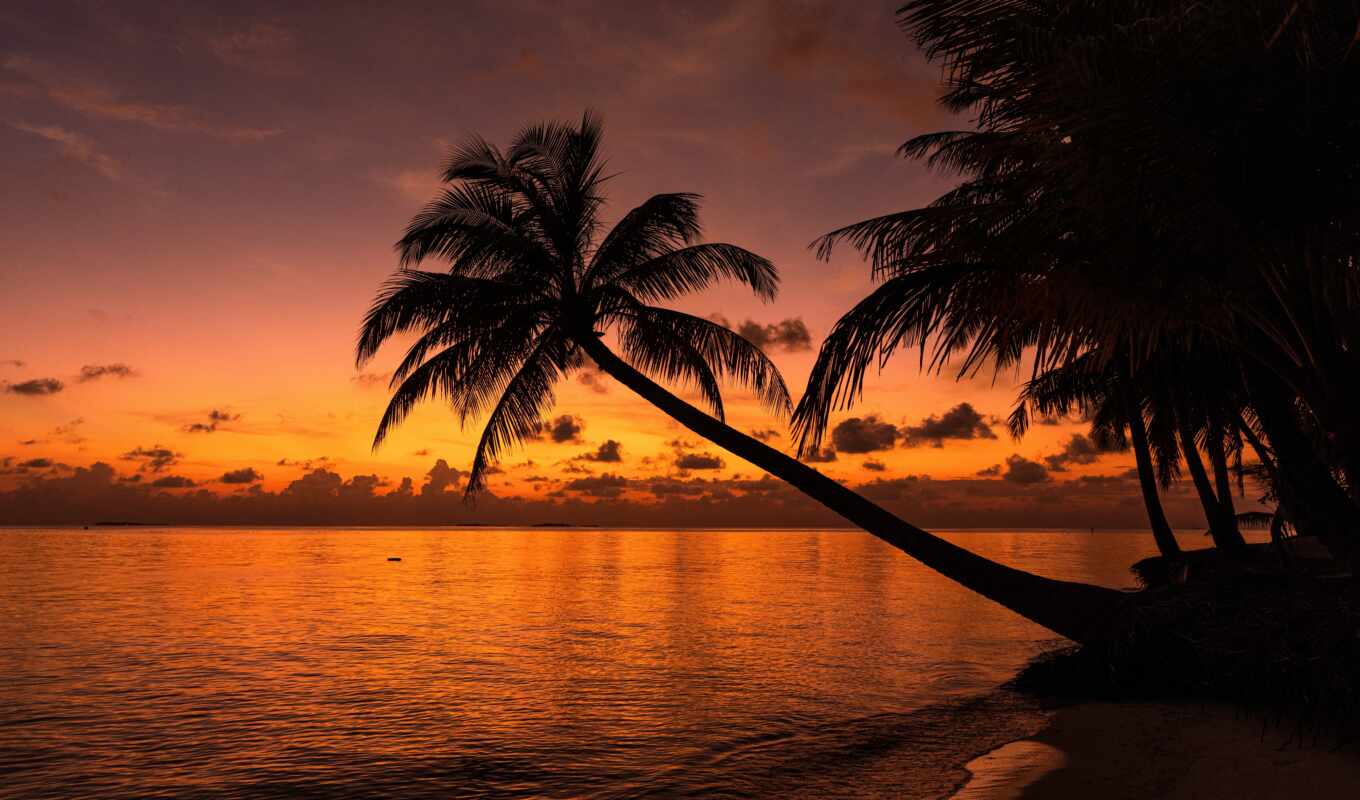 sunset, beach, sea, tropical