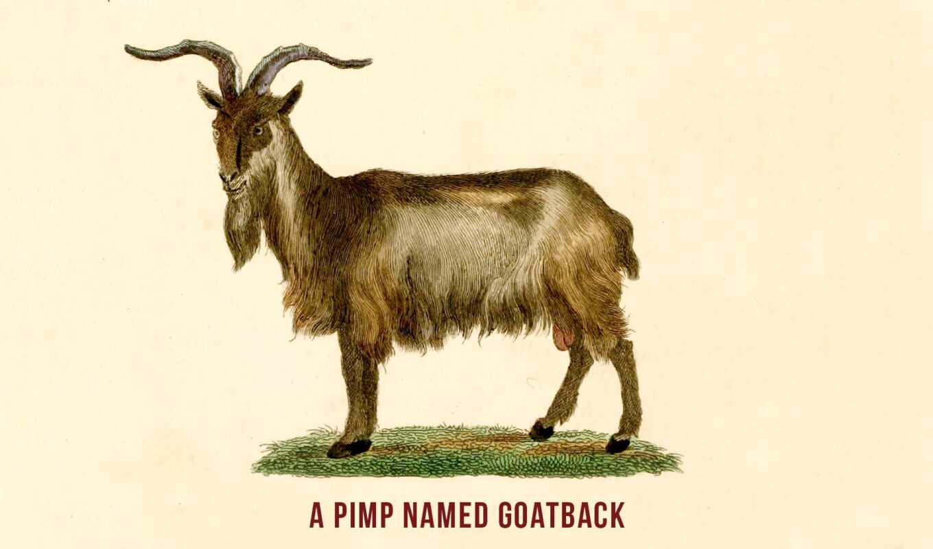 goat, simulator