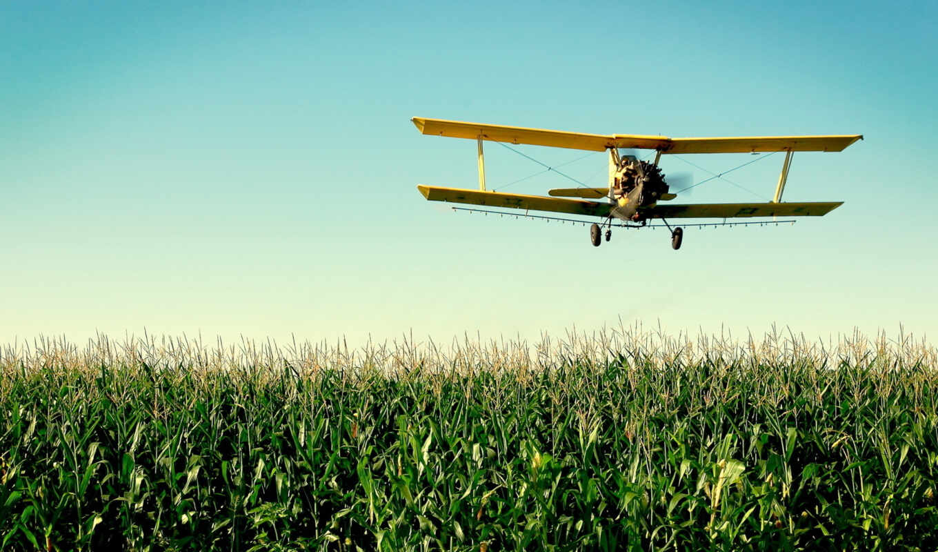 with, plane, flight, field, An, field, fields, corn, commits