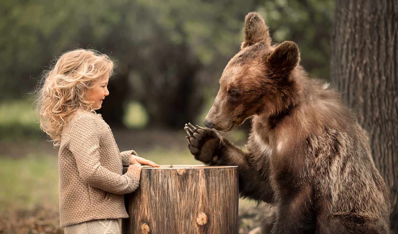 природа, девушка, медведь, animal, ребенок, stump, goodfonoboi