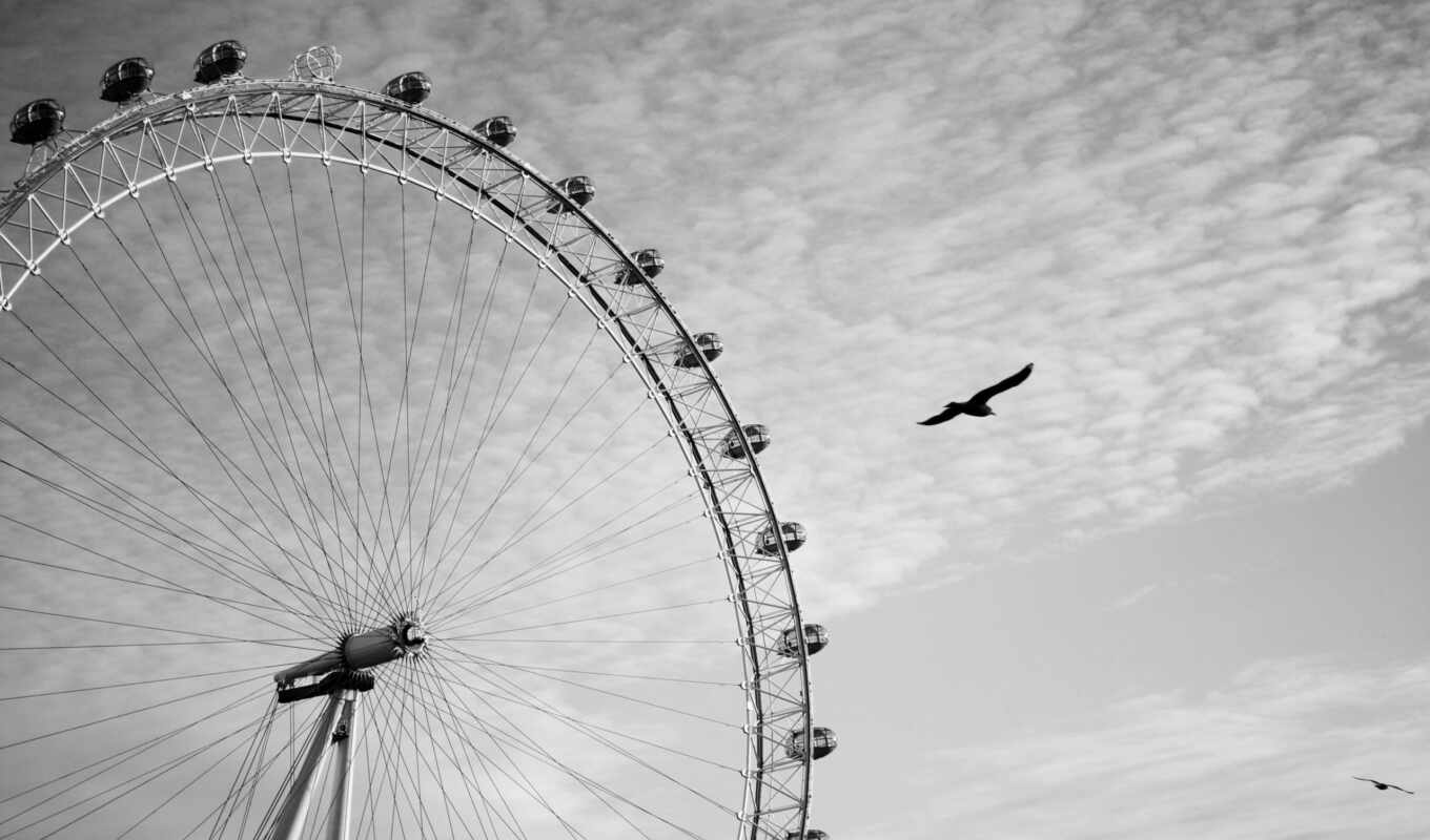 небо, black, white, глаз, птица, колесо, london
