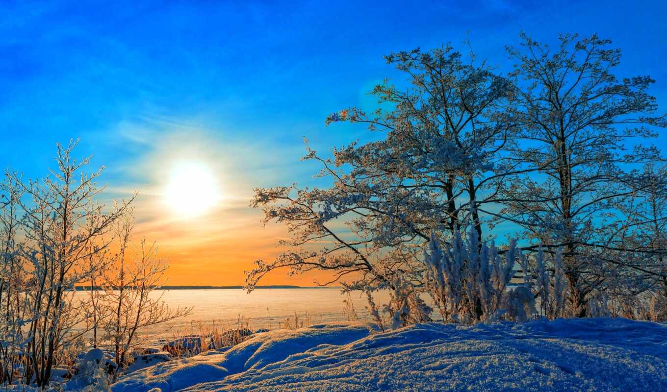 природа, небо, sun, дерево, закат, снег, winter, rising