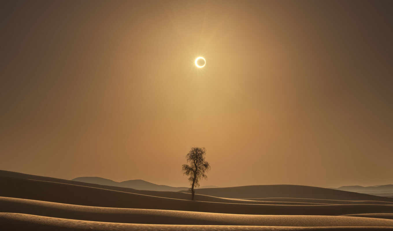 sun, tree, fire, eclipse, desert