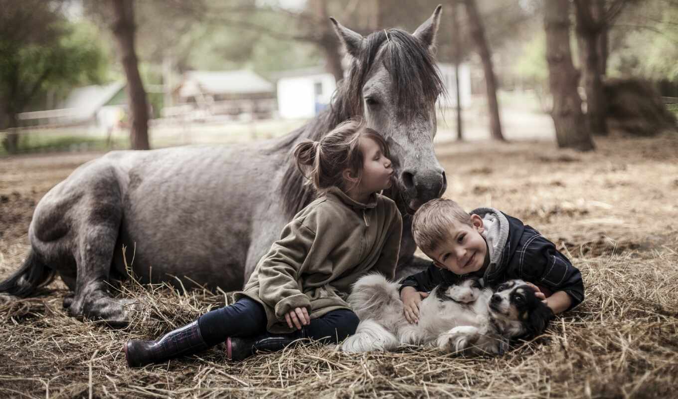 girl, horse, dog, animal