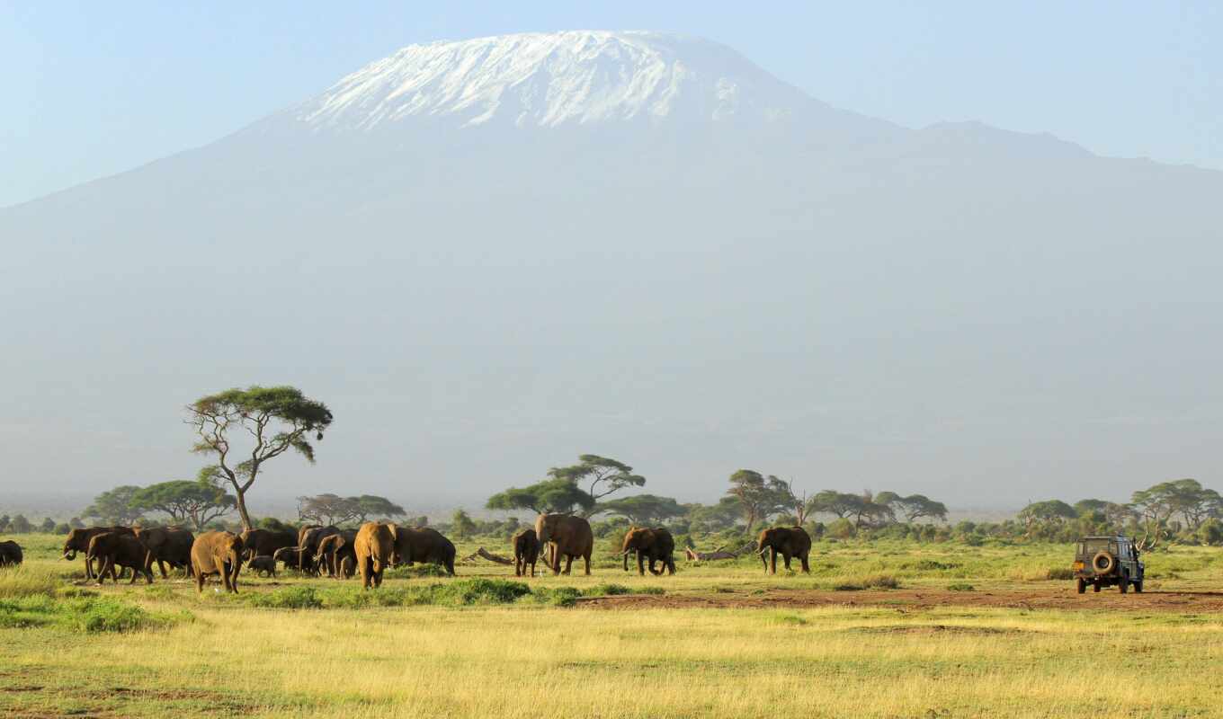 природа, гора, который, park, national, drawing, сафари, танзания, kilimanjaro, safarit