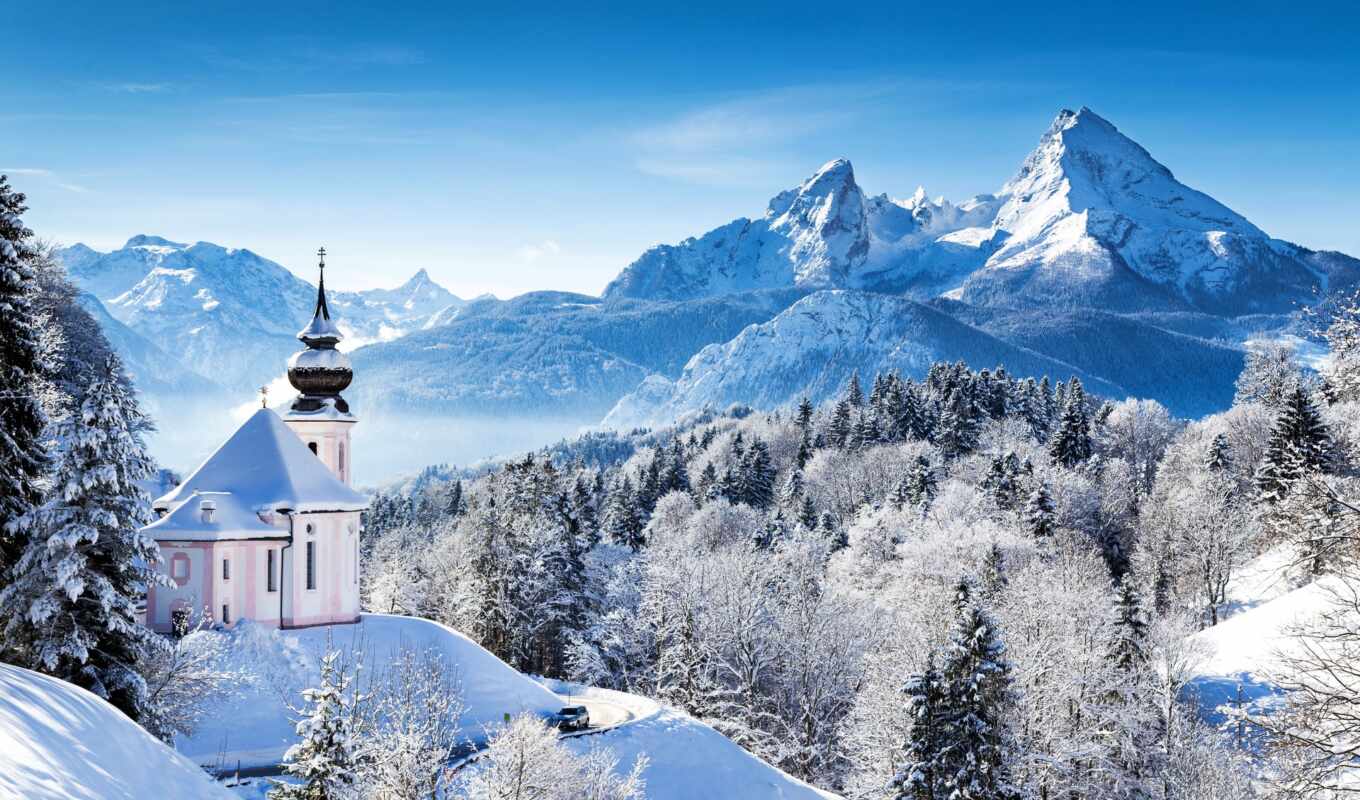 snow, forest, bavaria