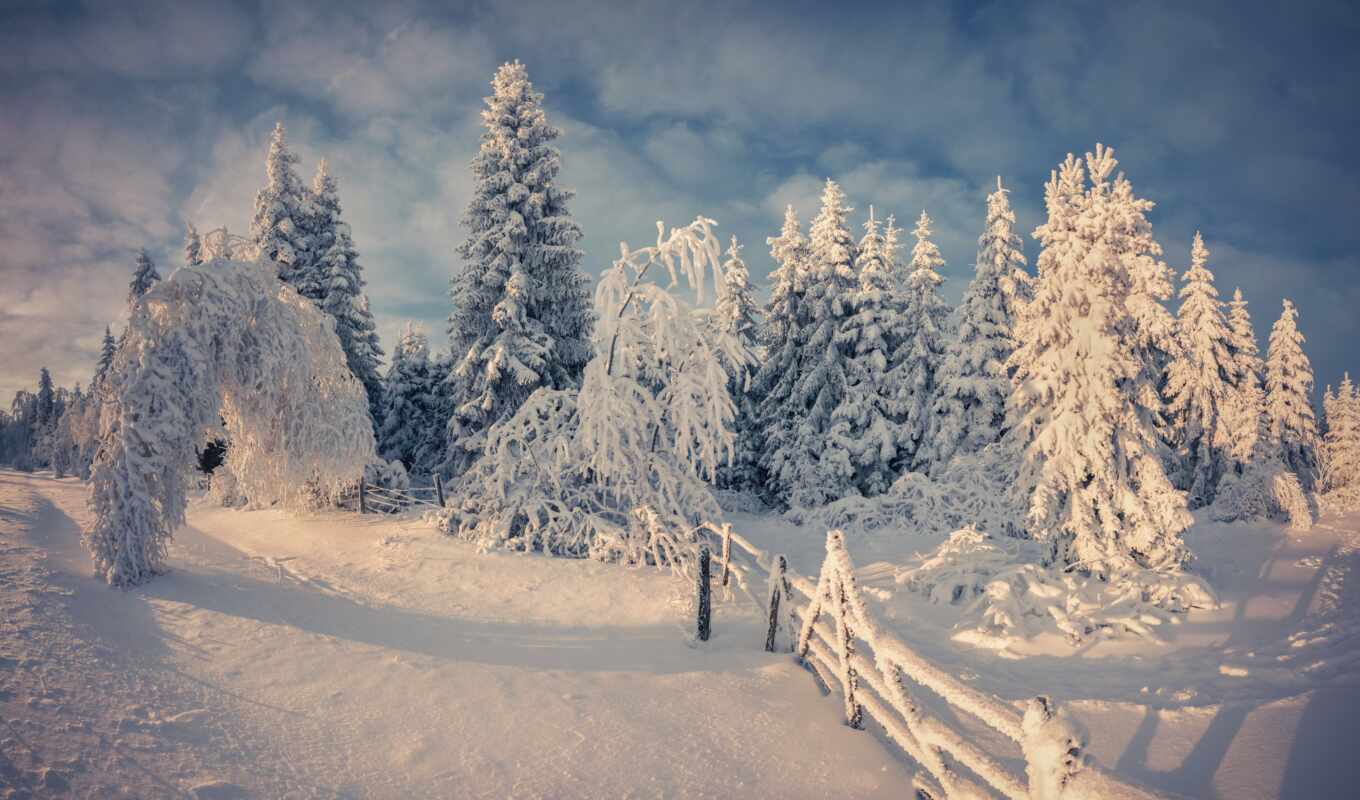 природа, снег, winter, landscape, funart, oir