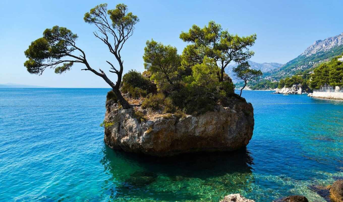 tree, island, Croatia, photo wallpapers, brela