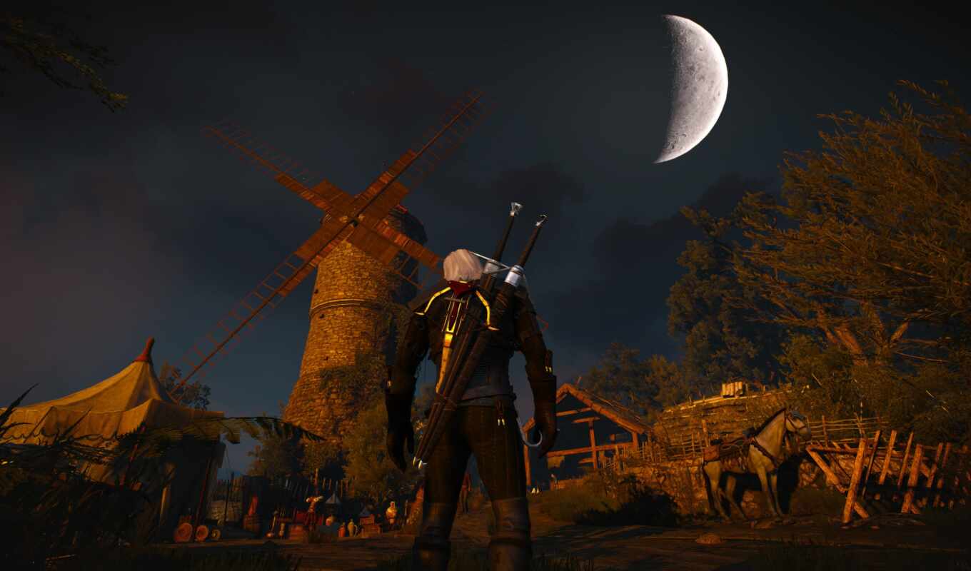 game, background, night, moon, see, wild, witch, into, hunt, distance