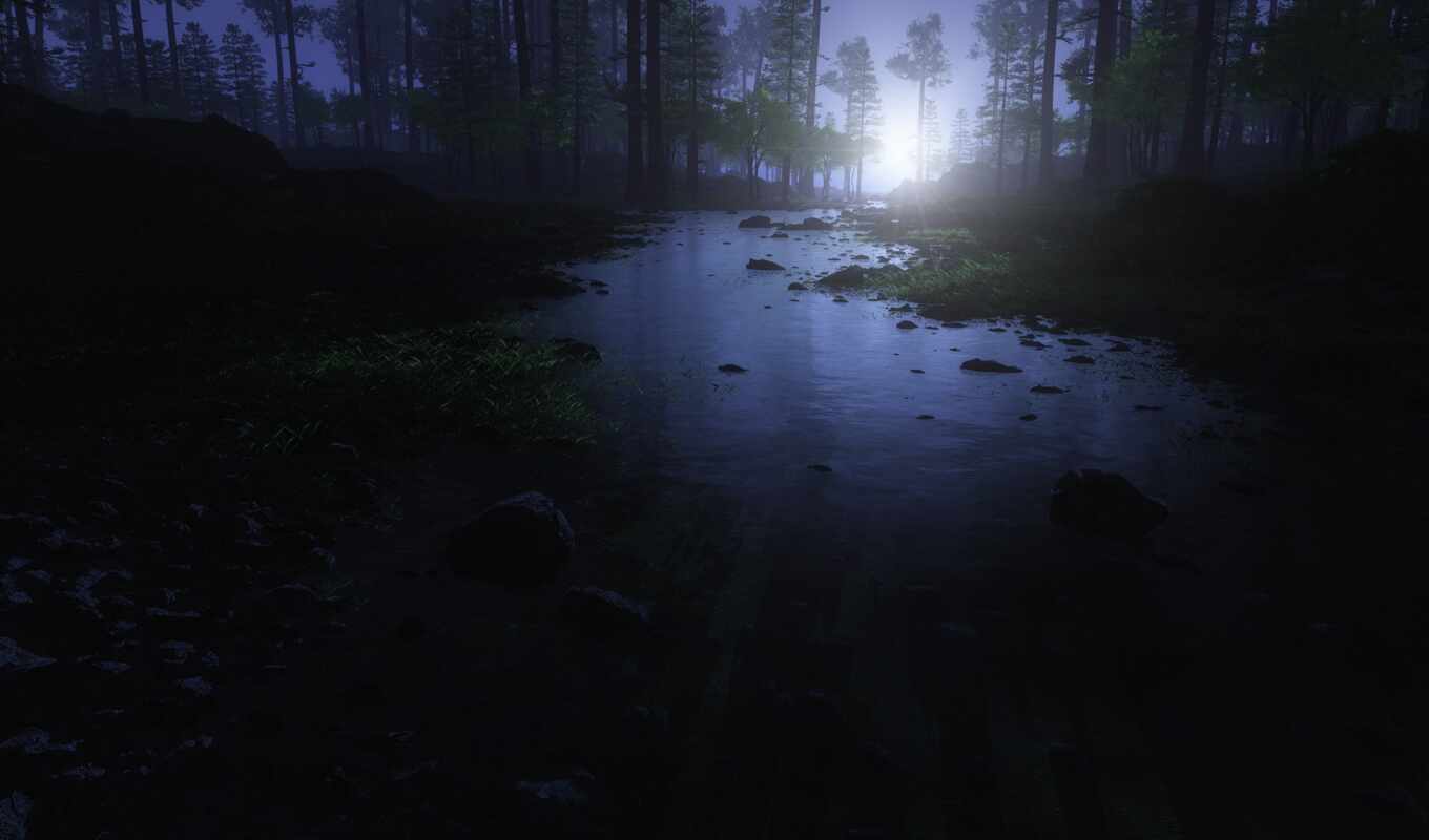 nature, photo, background, night, water, creek, fore