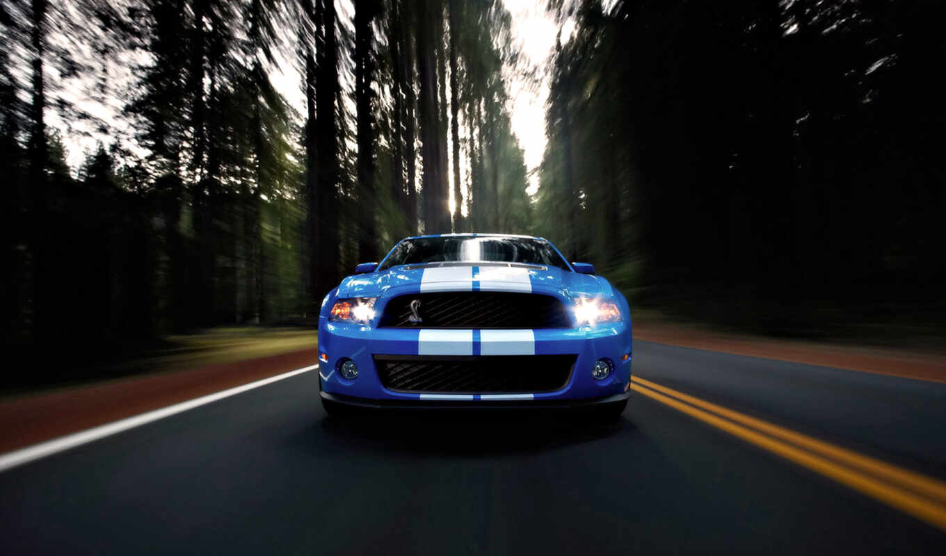 wallpaper, and, gt, road, ford, mustang, shelby, must