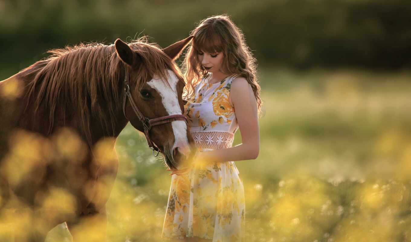 девушка, лошадь, поле, side, shirokoformatnyi