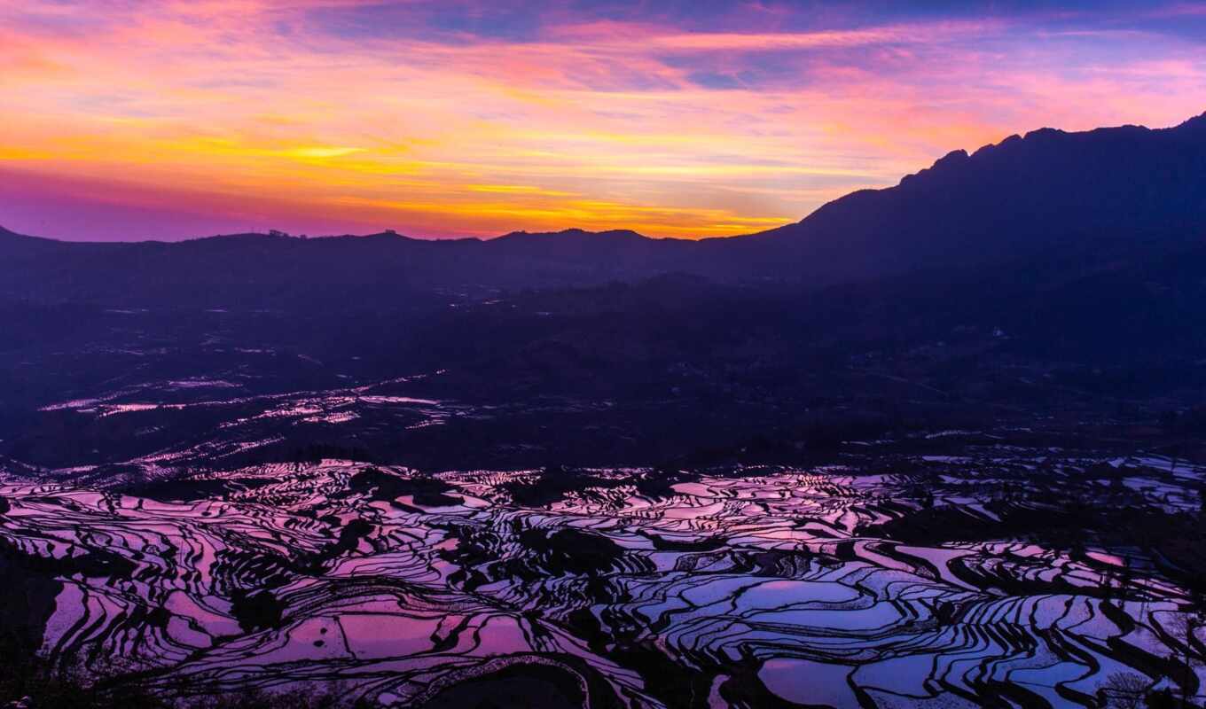 рис, горах, япония, рассвете, выращивание