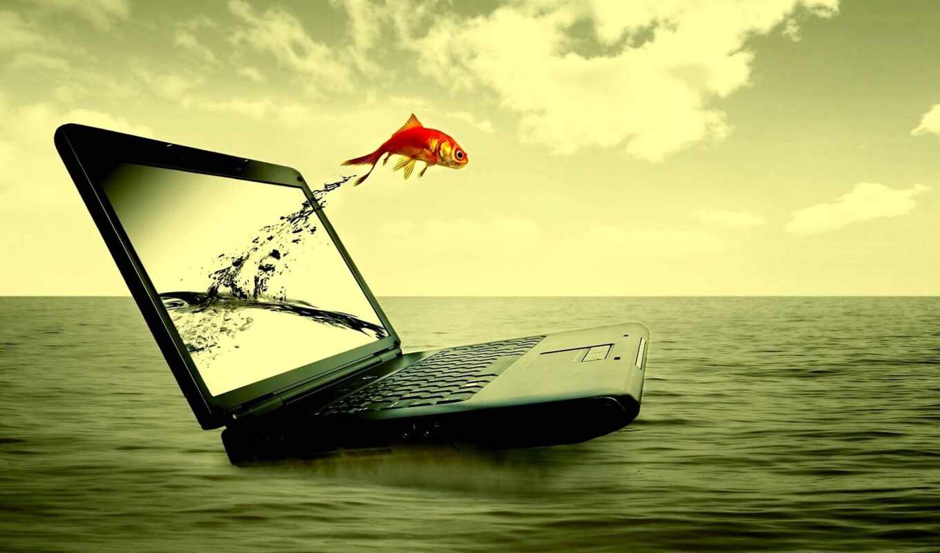 a laptop, golden, fish