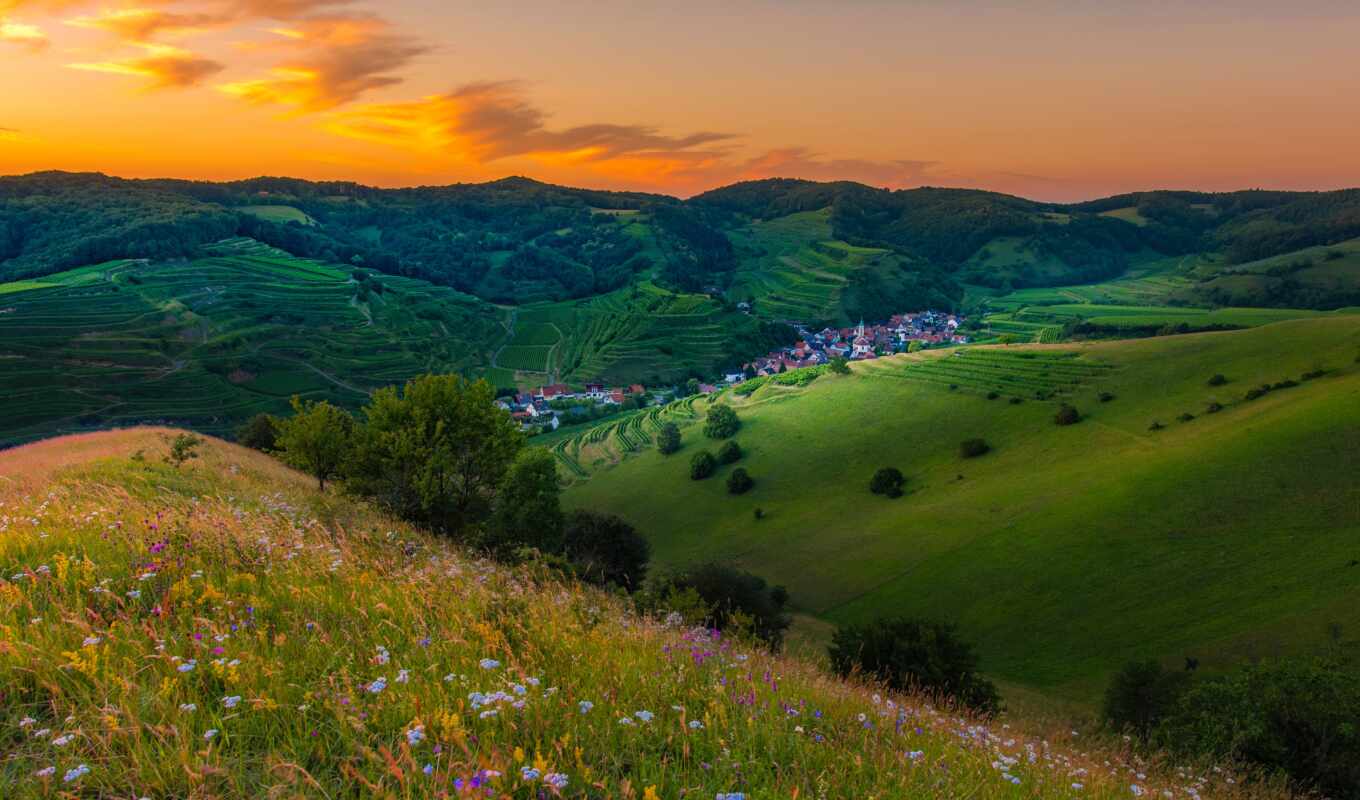 nature, flowers, summer, sunset, landscape, hill, the alps, meadow, wallpapermaniac, lenya, pxfuelpage