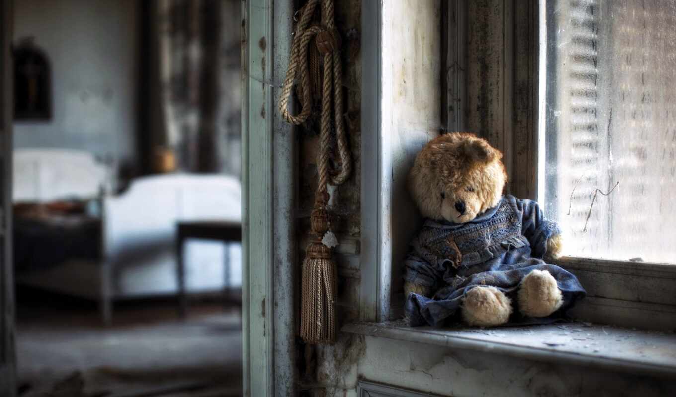 house, room, sad, bear