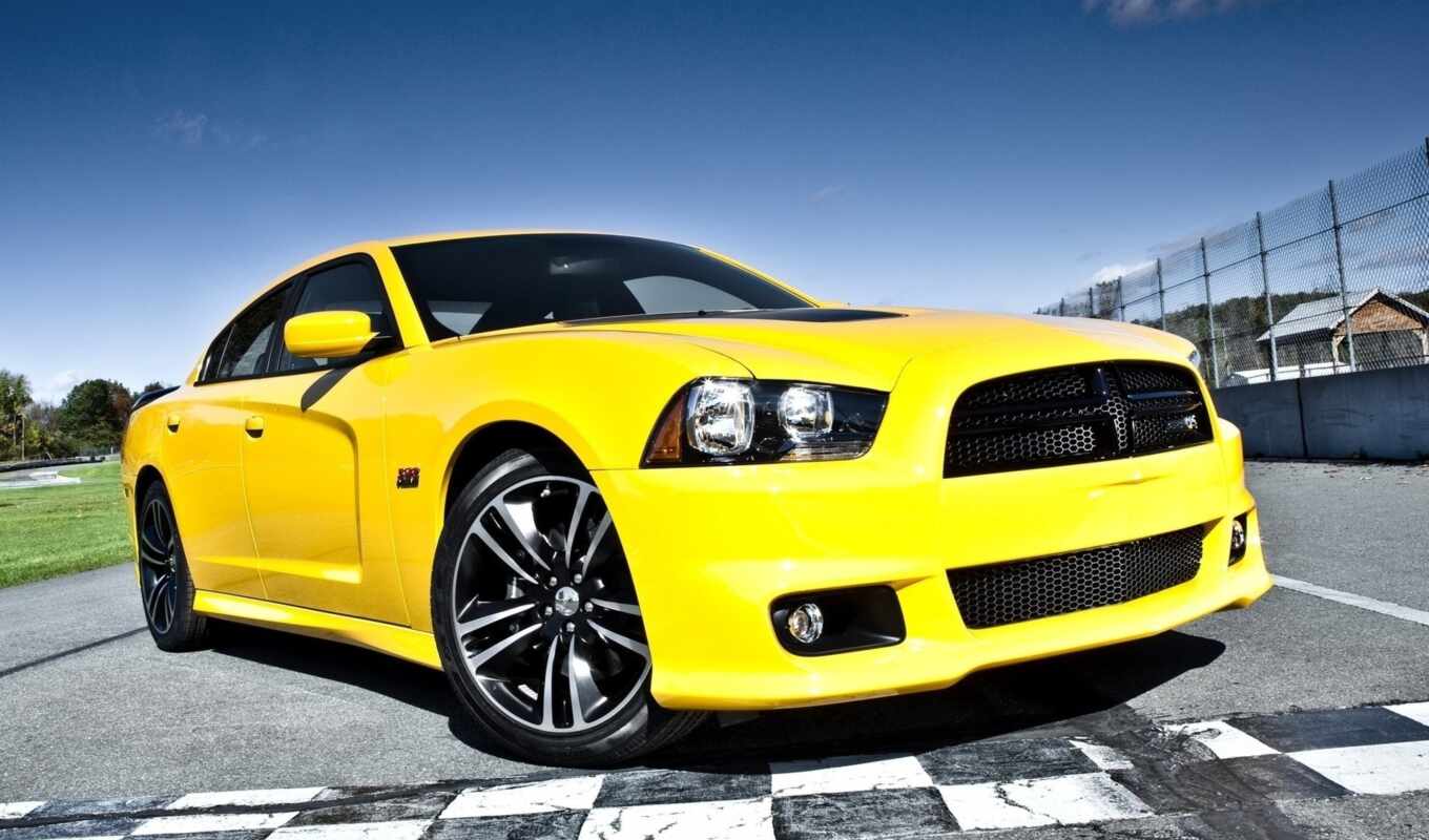 bee, super, car, dodge, charger, srt, challenger, yellow, blouse