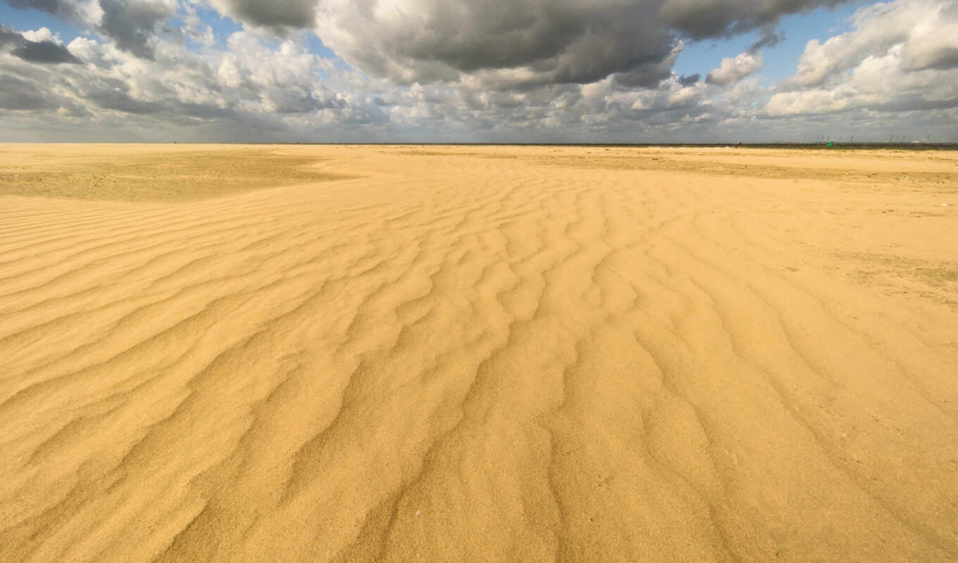 free, new, landscape, нидерланды, песок, sign, canvas, dune, aan, sing