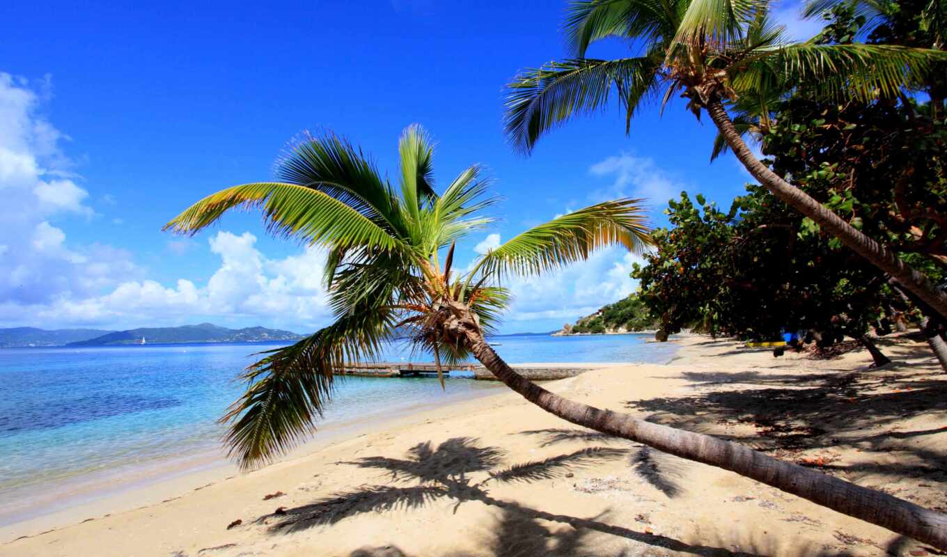 пляж, пальмы, пляжи, tropical, рай, tropics, тропические