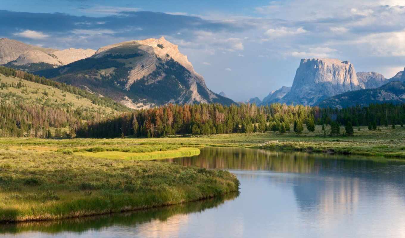 nature, forest, mountain, river, meadow