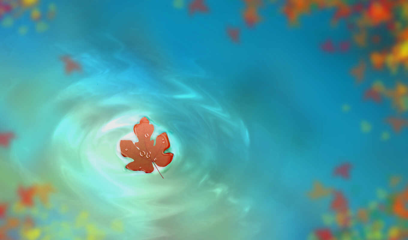 water, drop, осень, лист, drawing
