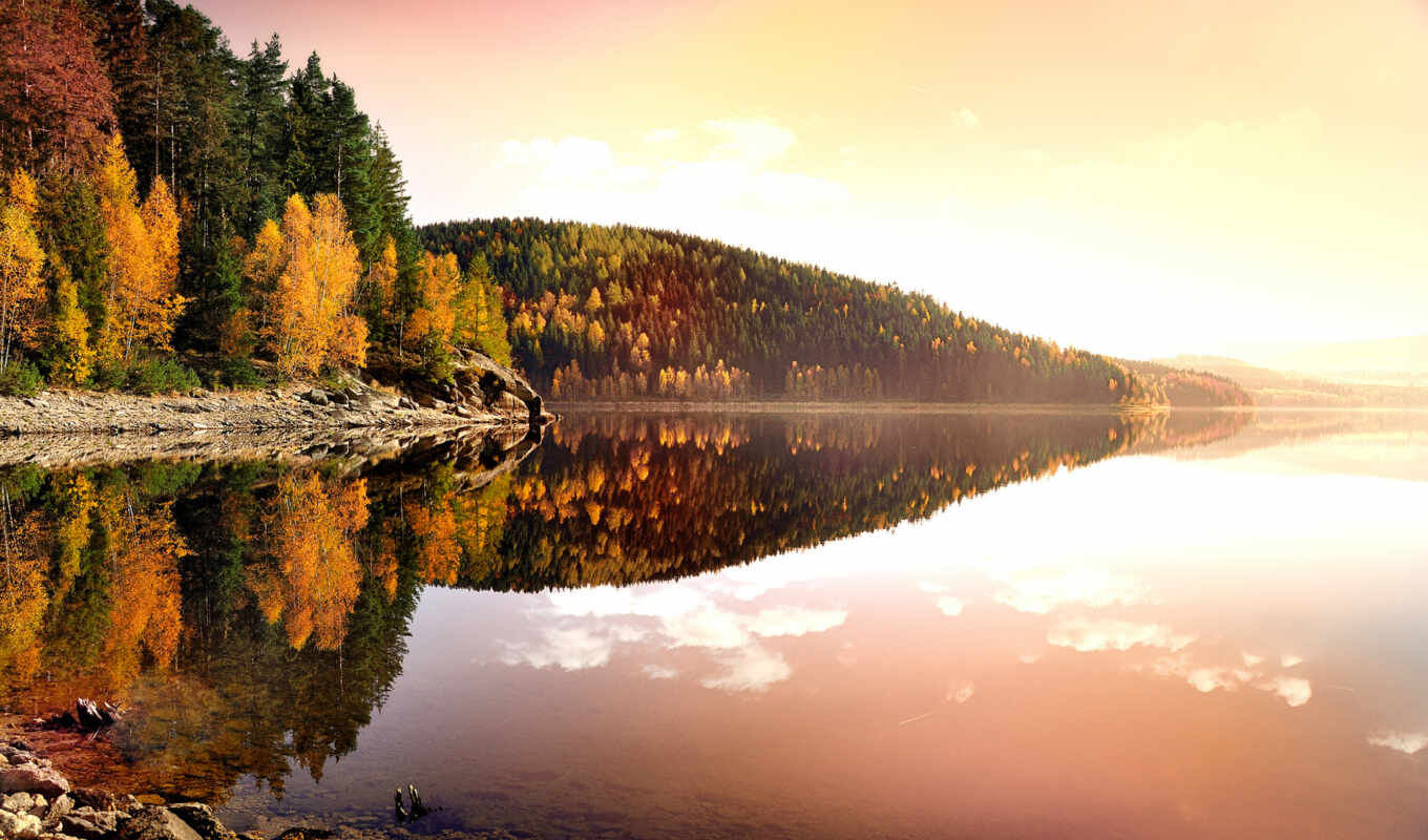 lake, nature, water, forest, coast, morning, beautifully, reflection, mountains