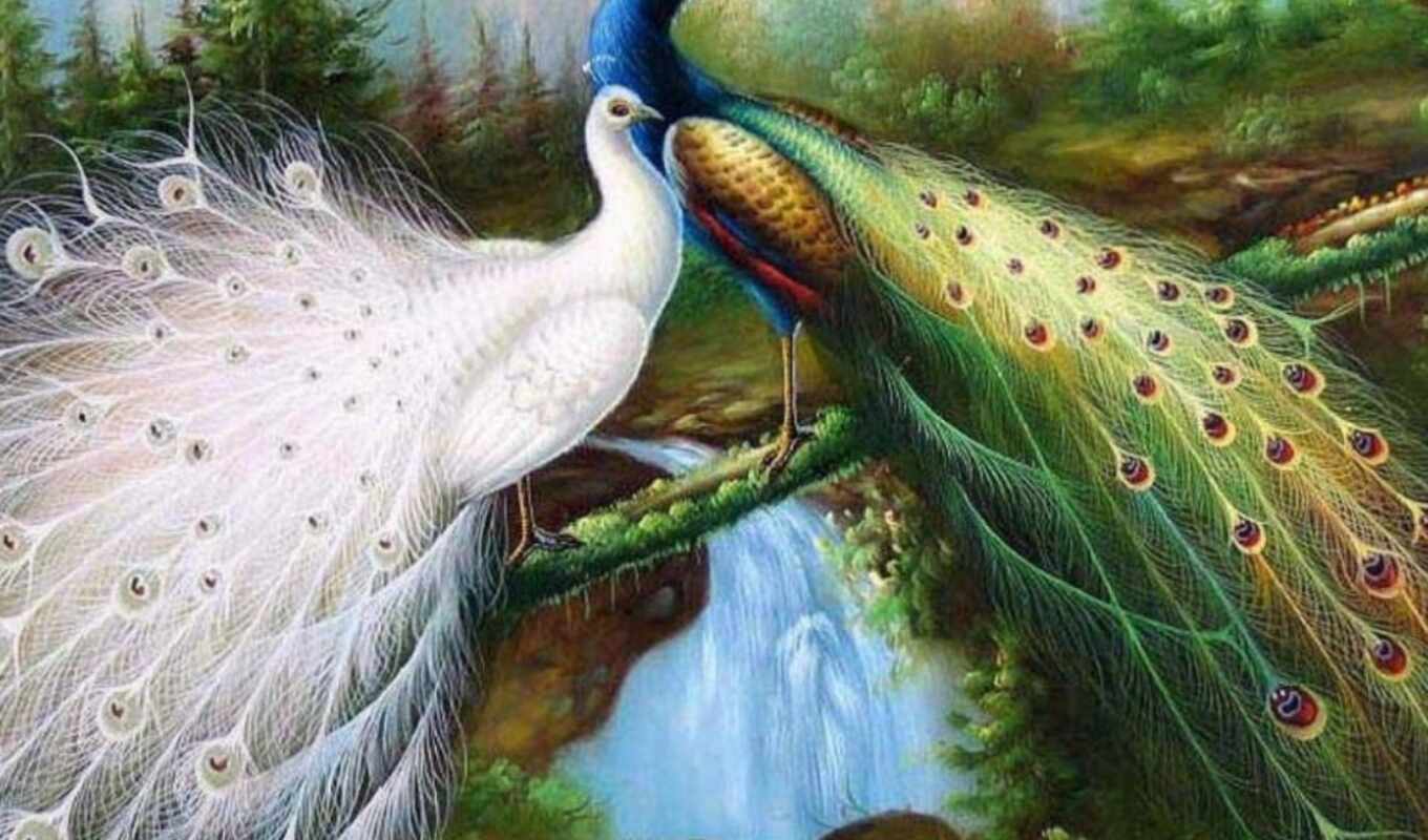 gif, birds, pinterest, real, landscape, peacock, movement, image, peafowl