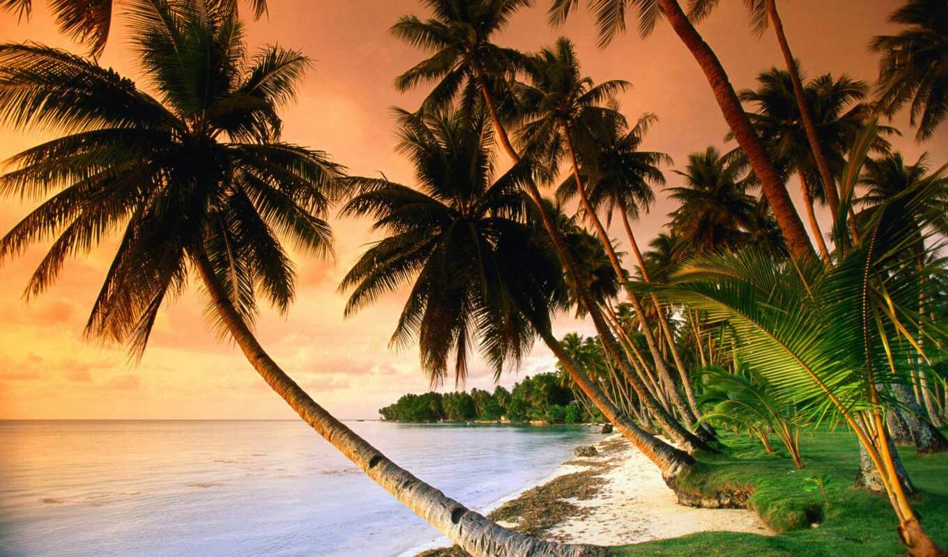 природа, пляж, море, берег, моря, фотографий, бесплатные, оригинальные, tropics, изображения
