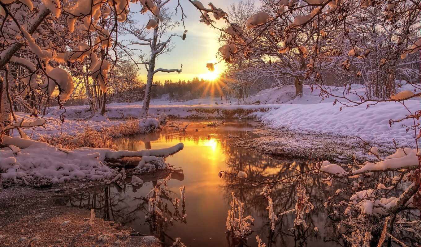 sunrise, winter, forest, river