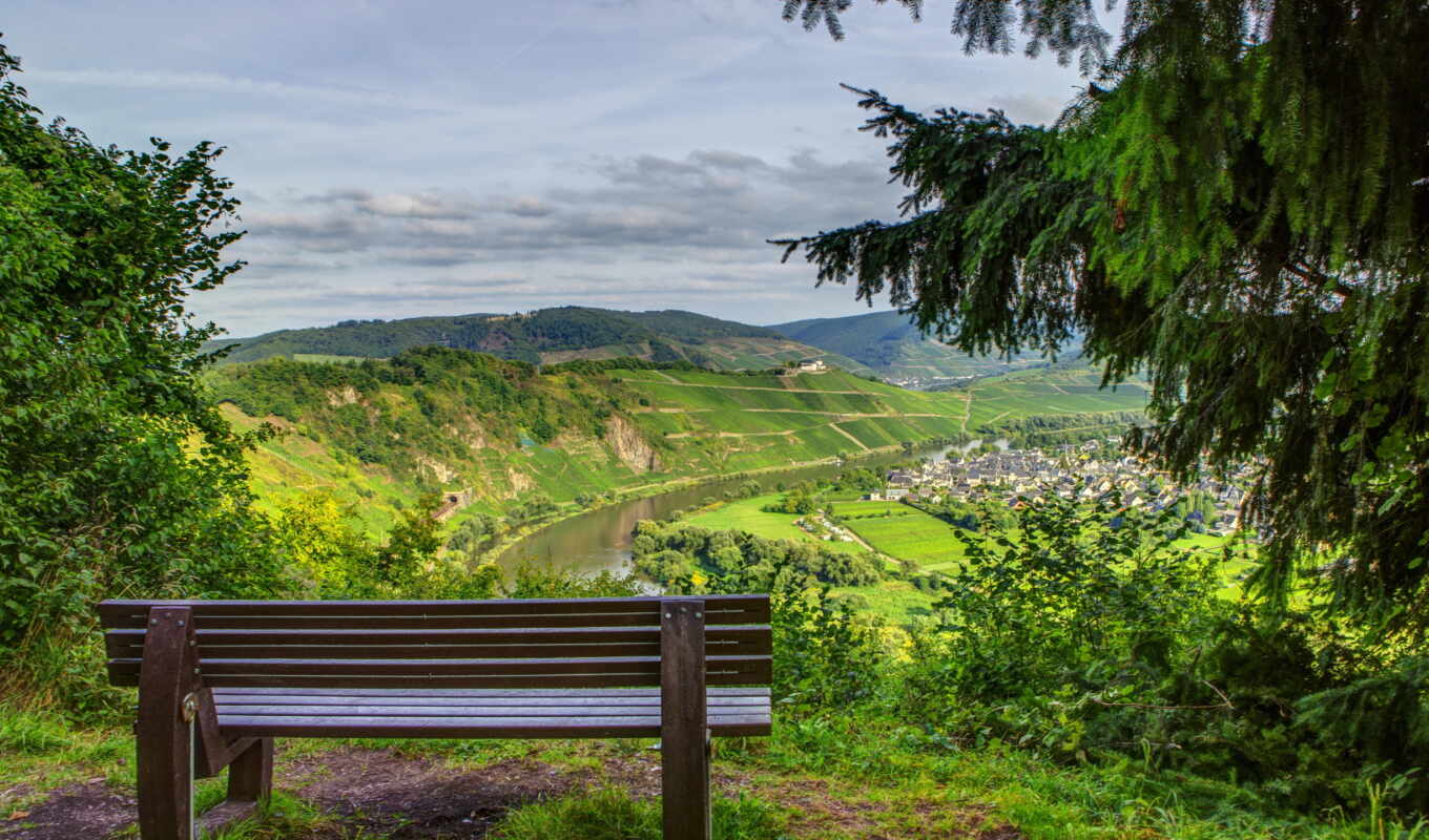 nature, view, forest, mountain, landscape, Germany, fir, bench, banco
