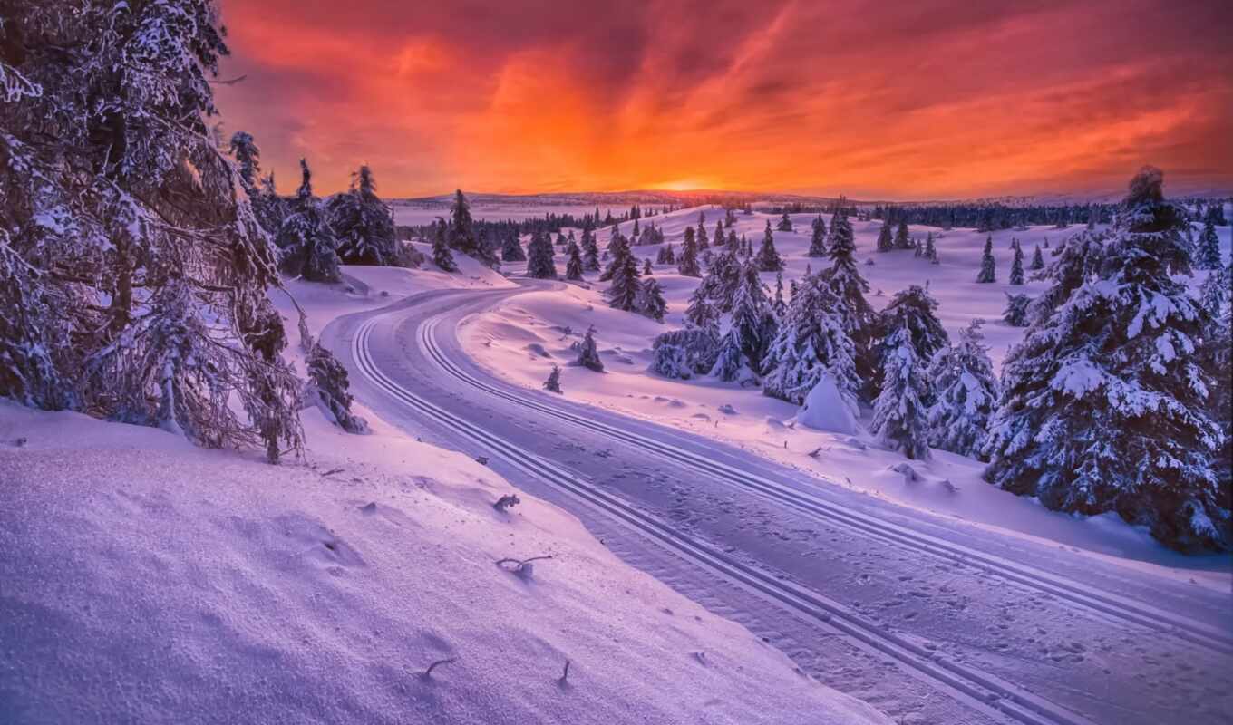 озеро, природа, дерево, снег, winter, красивый, дорогой, norwegian