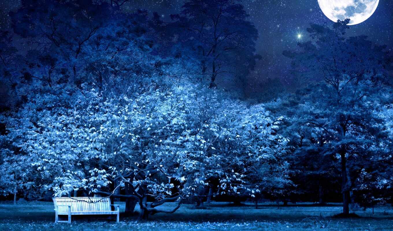 sky, light, tree, night, moon, star, park, darkness, bench