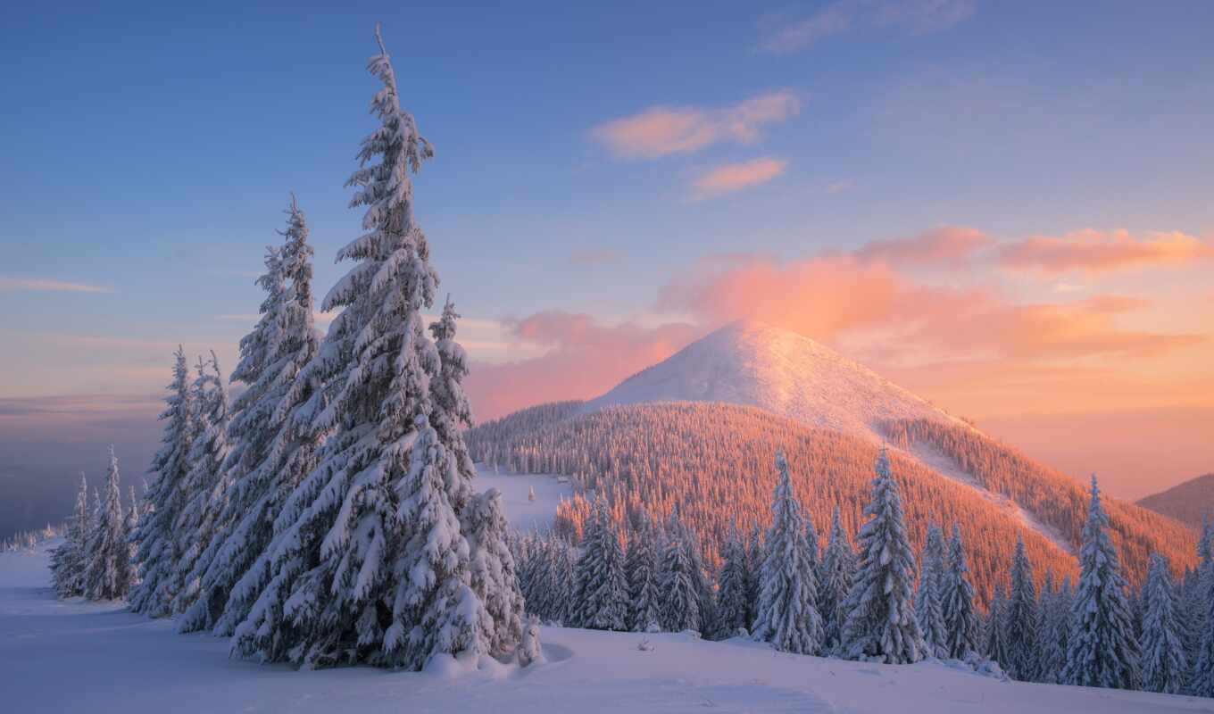 дерево, закат, снег, winter, гора, bild, ukraine, rook, карпаты
