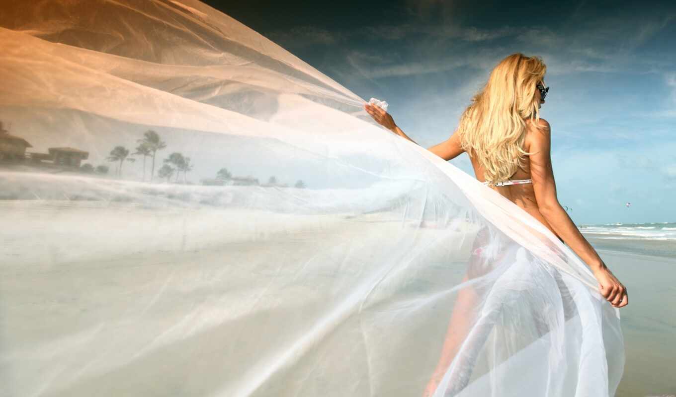 free, picture, picture, beach, photos, photography, stock, romantic, wedding, bride