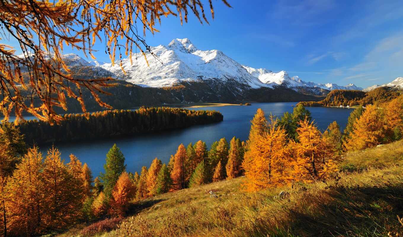 озеро, природа, дерево, гора, золотистый, осень, swiss, река, альпы