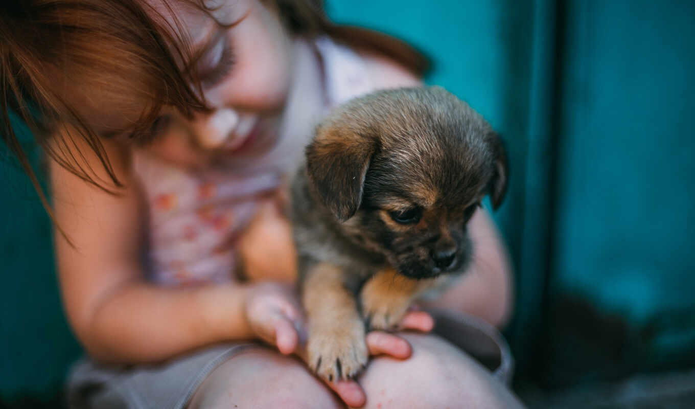 view, girl, comment, dog, puppy, breed, baby, kid, rate, the native, vulnerable
