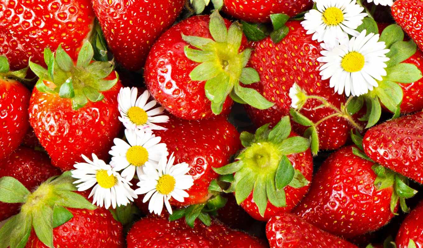 flowers, summer, kitchen, fetus, strawberry, chamomile, delicious, berry