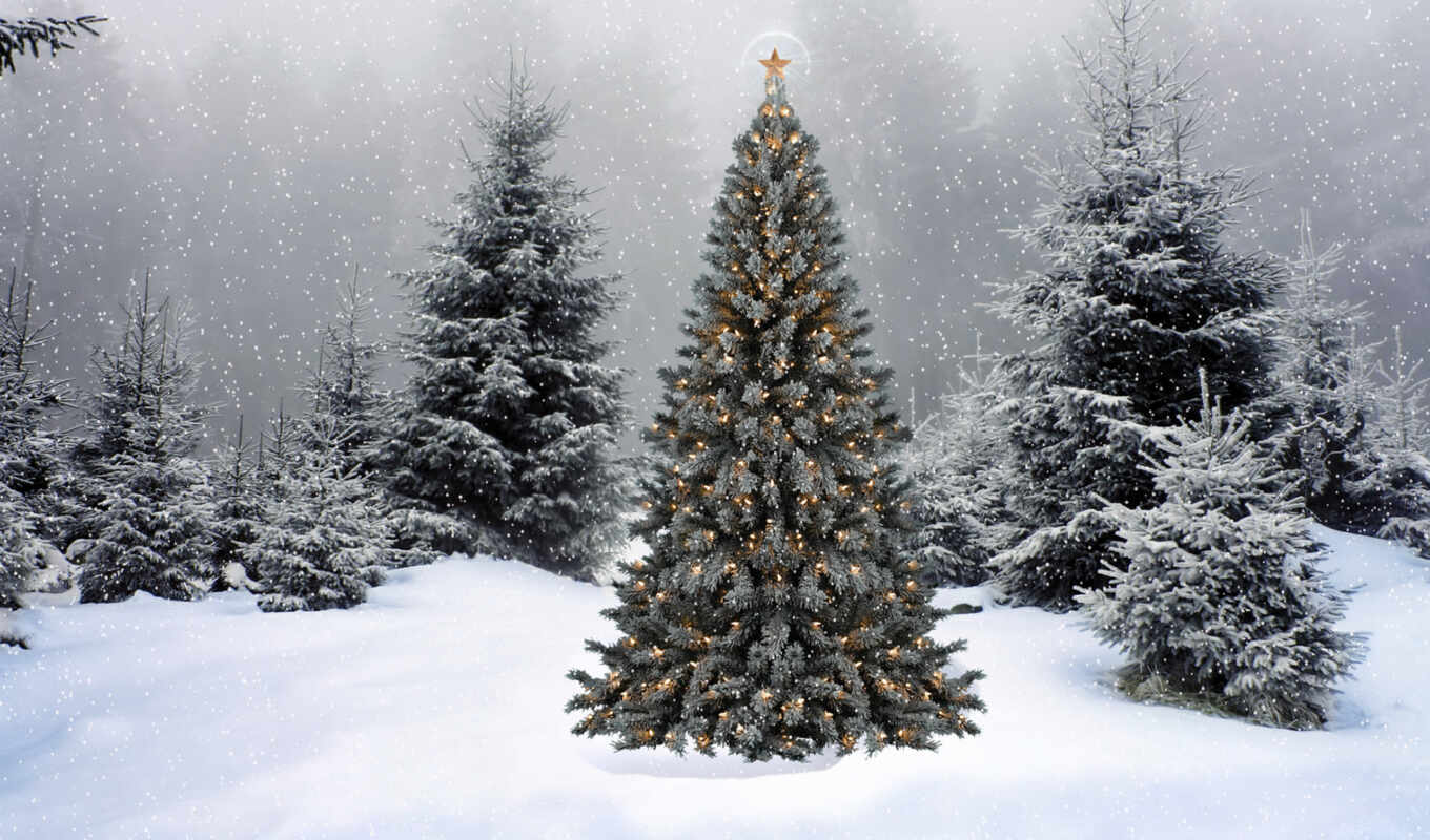 new, winter, forest, garland, new year, Christmas tree