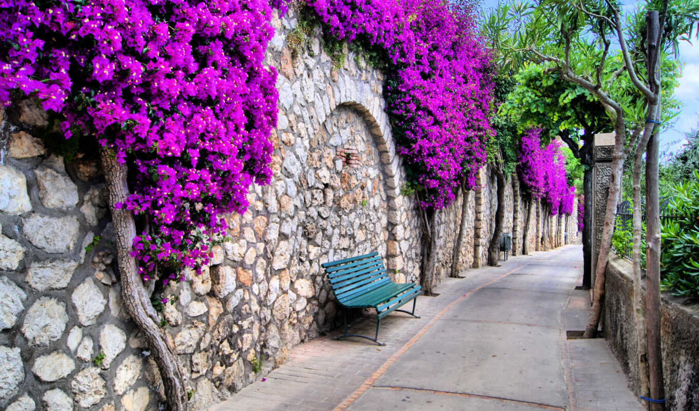 flowers, tree, city, street, italian, bench