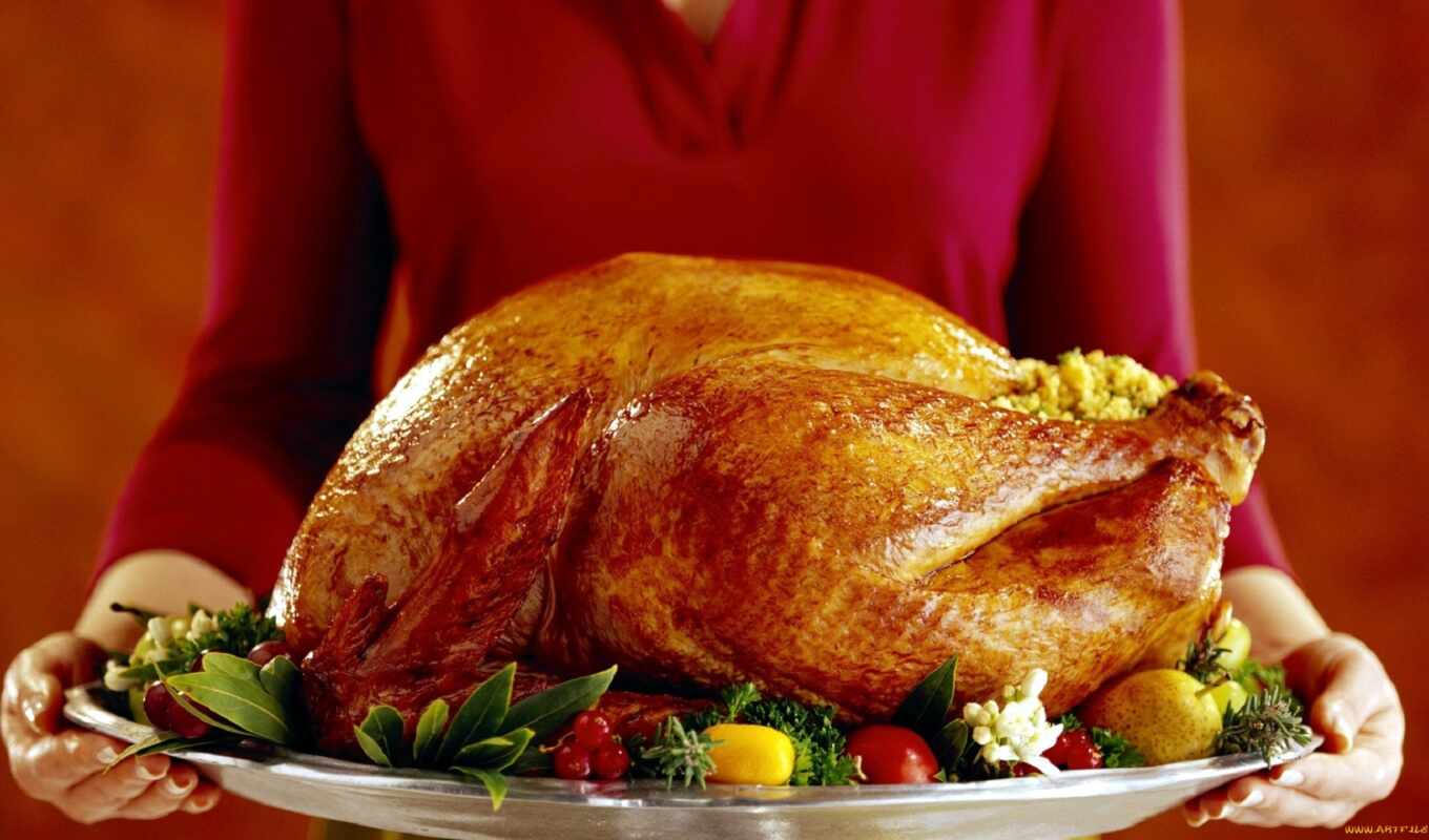 еда, когда, turkey, thanksgiving, gourmet