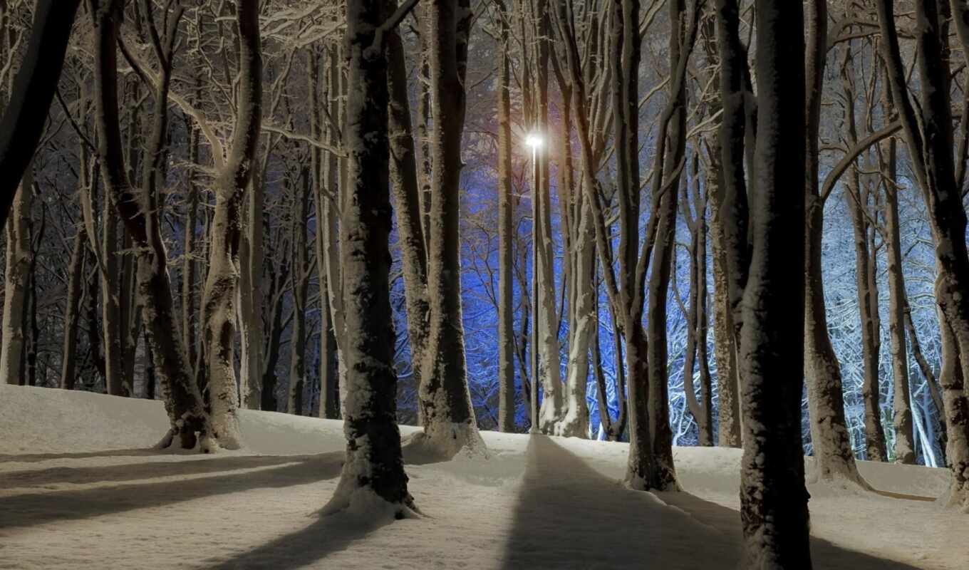 desktop, free, ночь, снег, winter, лес