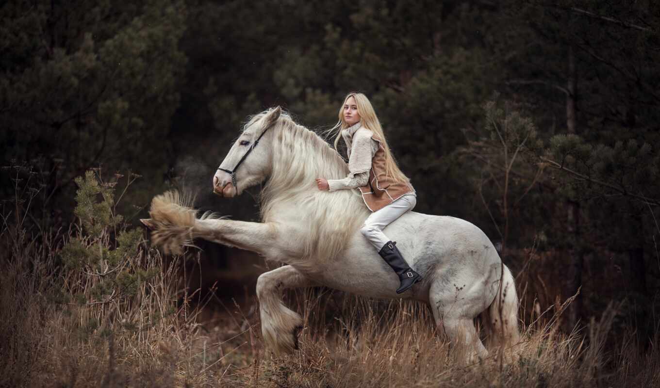 girl, horse, buy, gift, bright, beautiful, grna