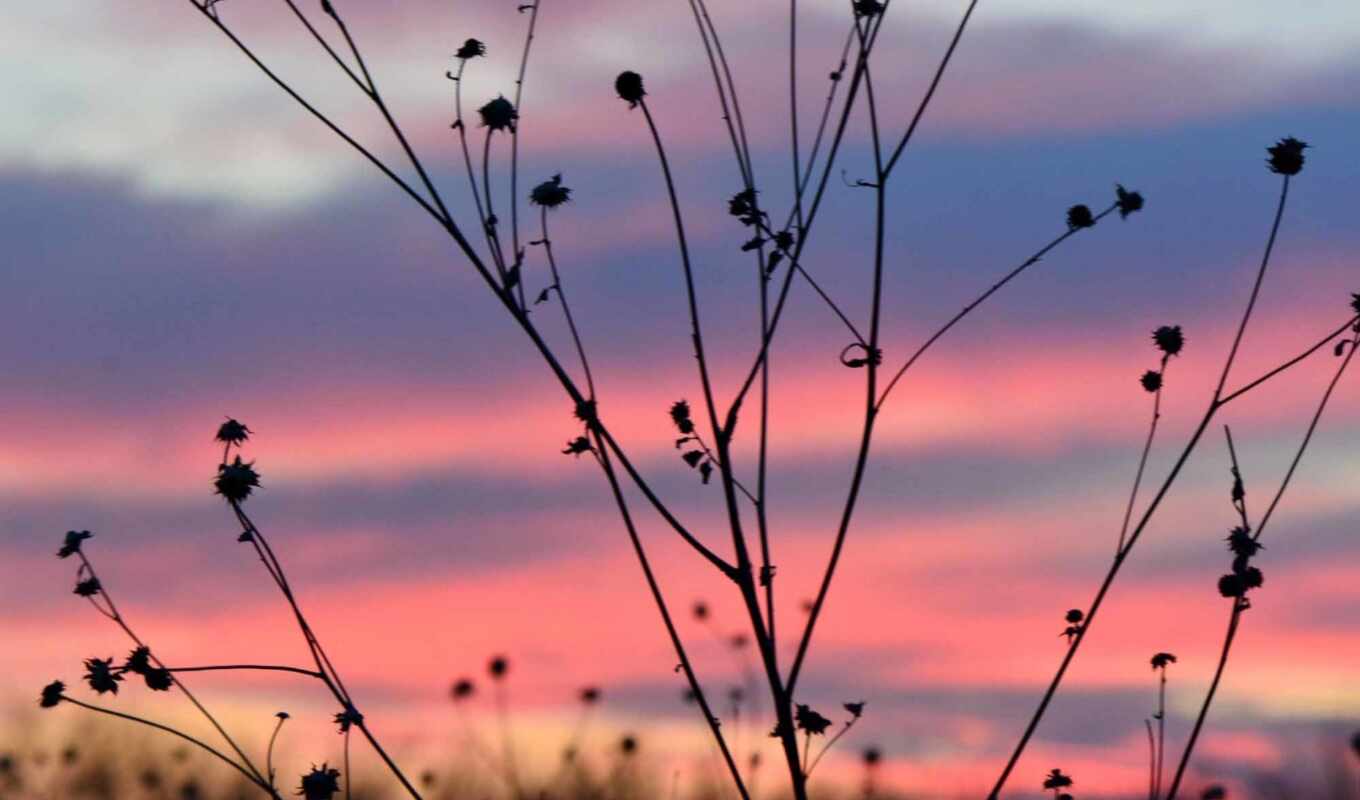 sky, red