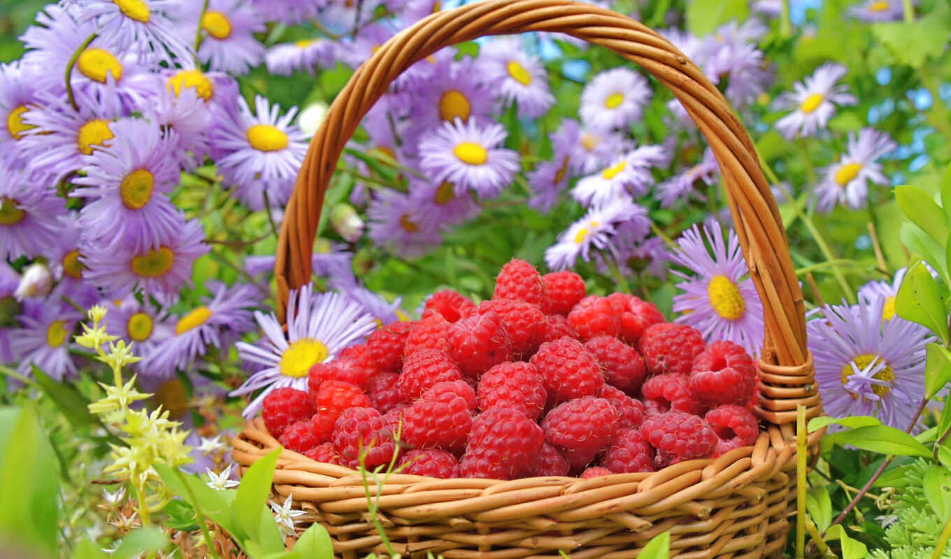flowers, raspberry, basket, berry, meal
